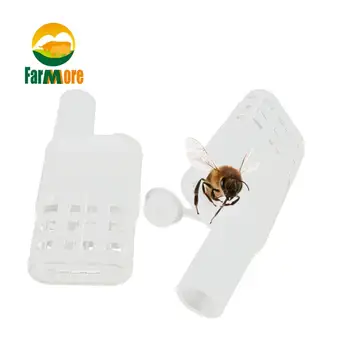 10 Шт. Клетка для пчелиной Матки Инструменты для защиты Пчеловода King Bee Keeper Пластиковое Оборудование для пчеловодства Cege Ящик для насекомых